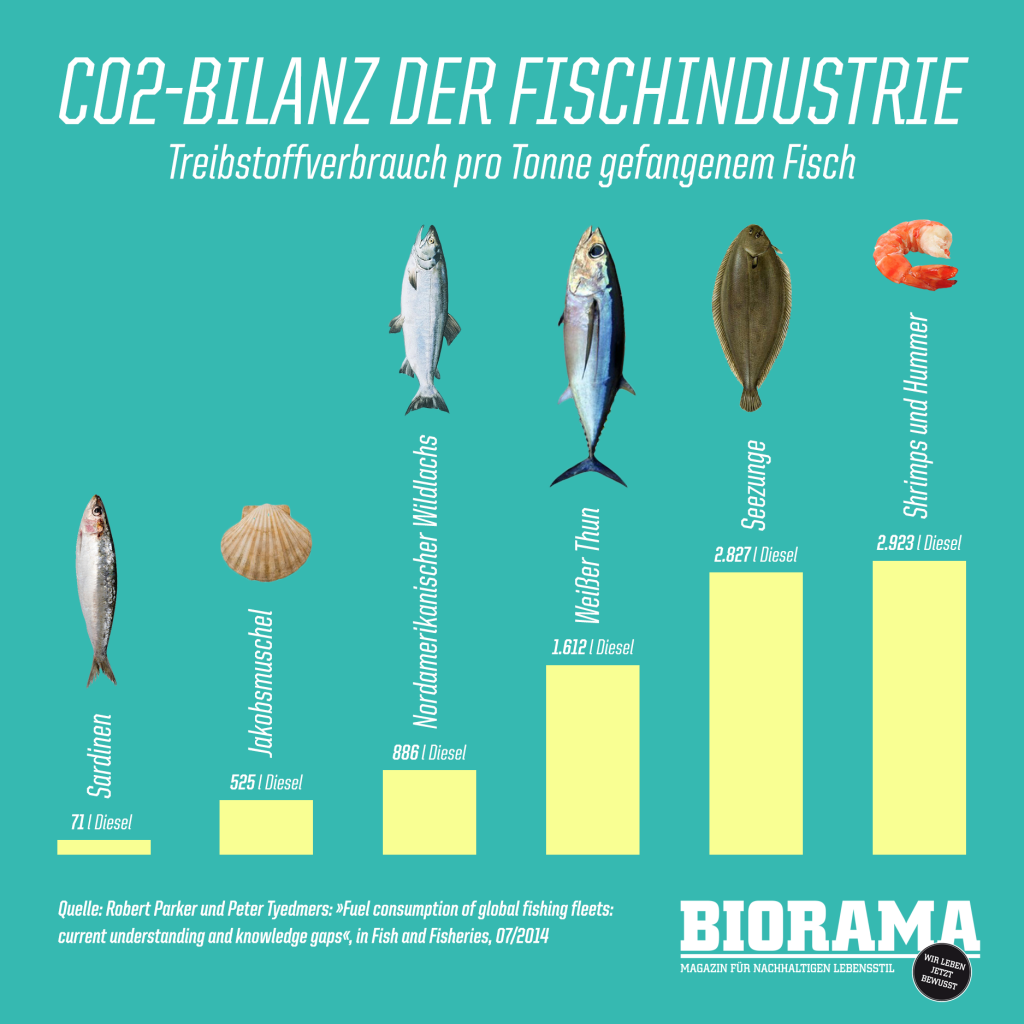 BIORAMA_shareable_fisch