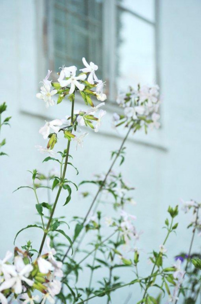 Bild: Museumsdorf Niedersulz