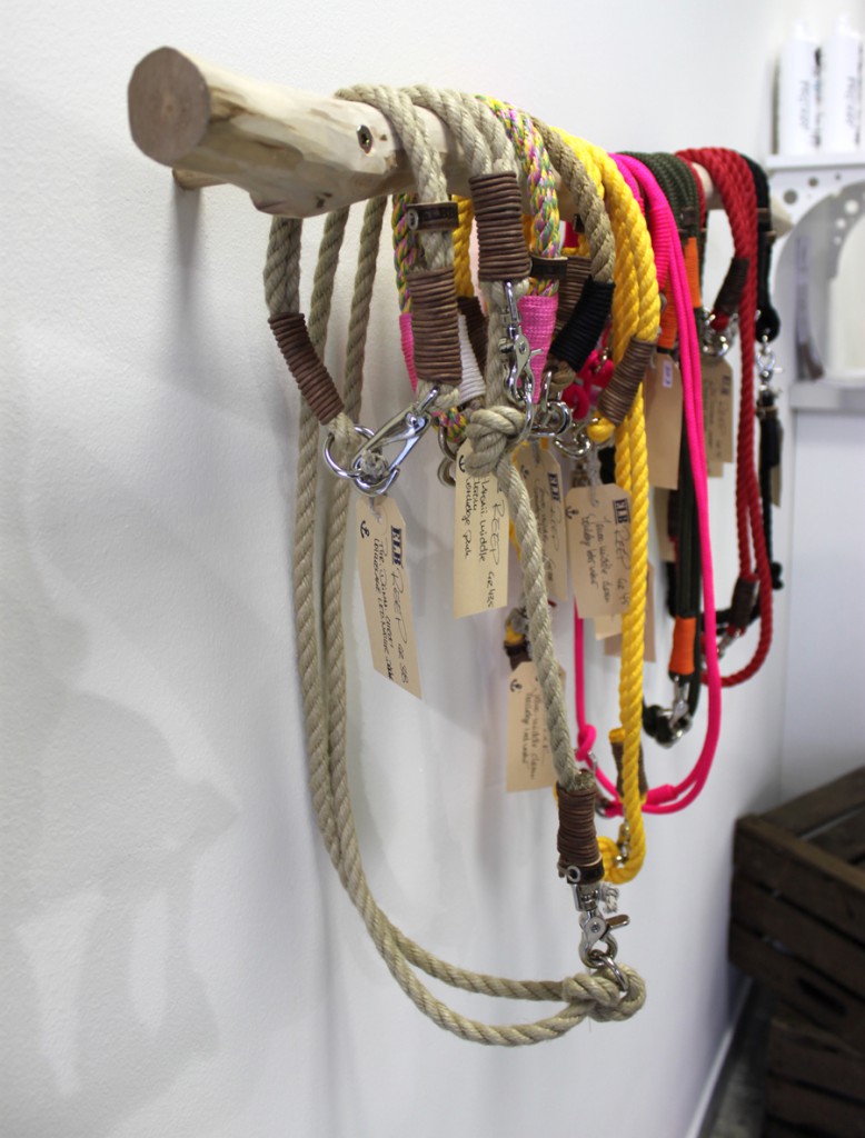 Bild: Annemarie Sauerbier