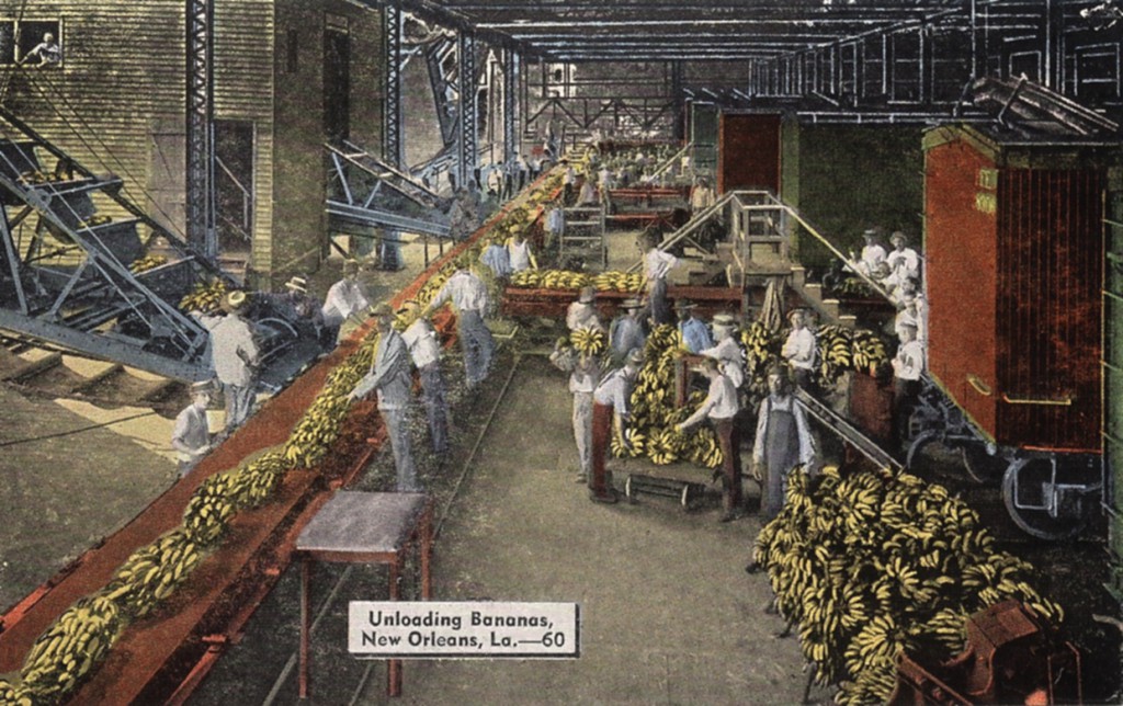 S.89l Entladung von Bananenstauden_Postkarte 1930