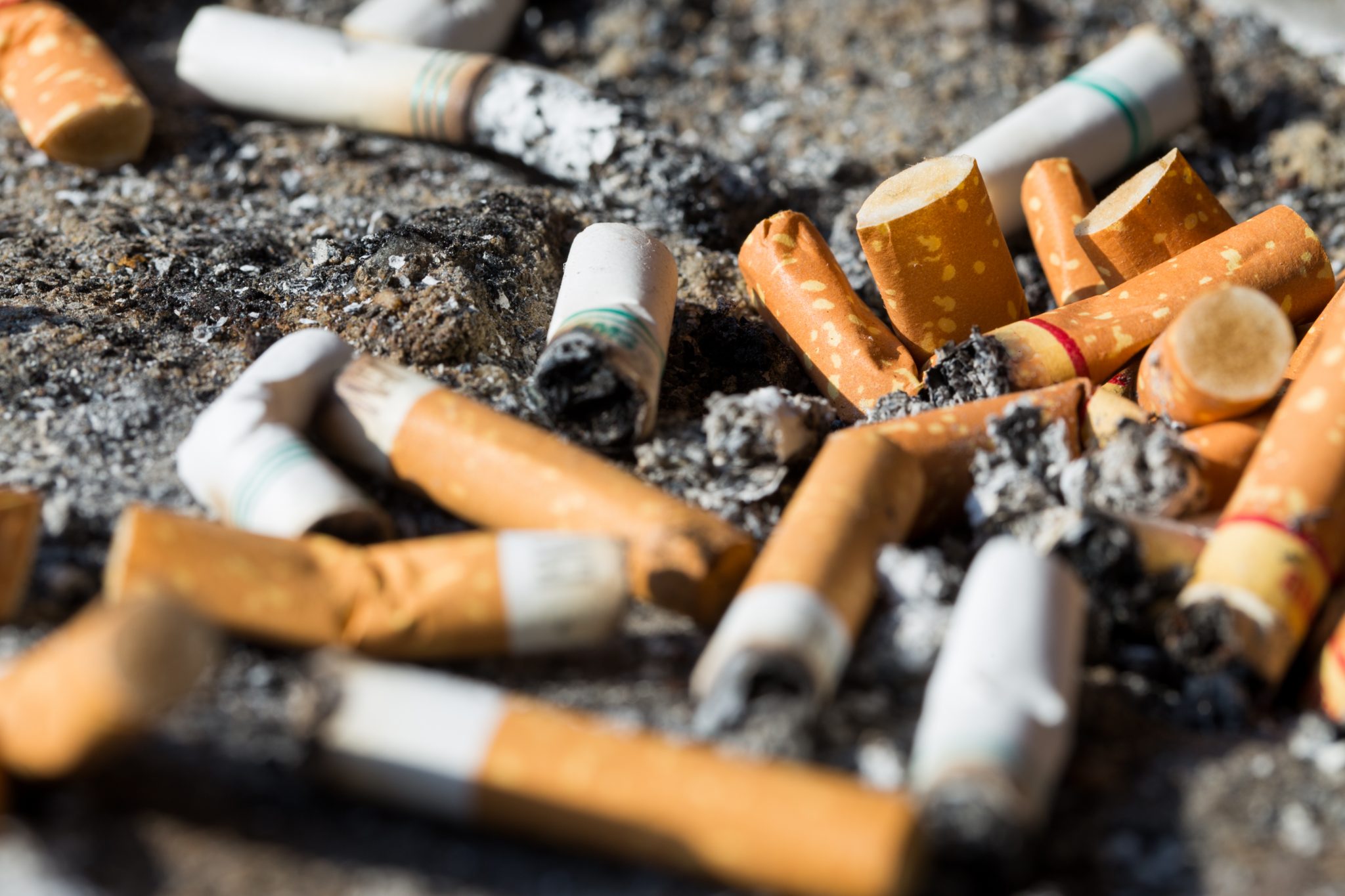 So Schädlich Sind Zigarettenfilter Für Die Umwelt Biorama
